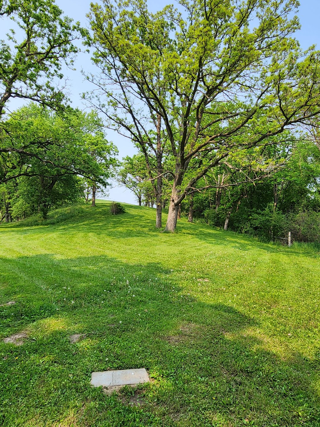 Hole 5 DZ