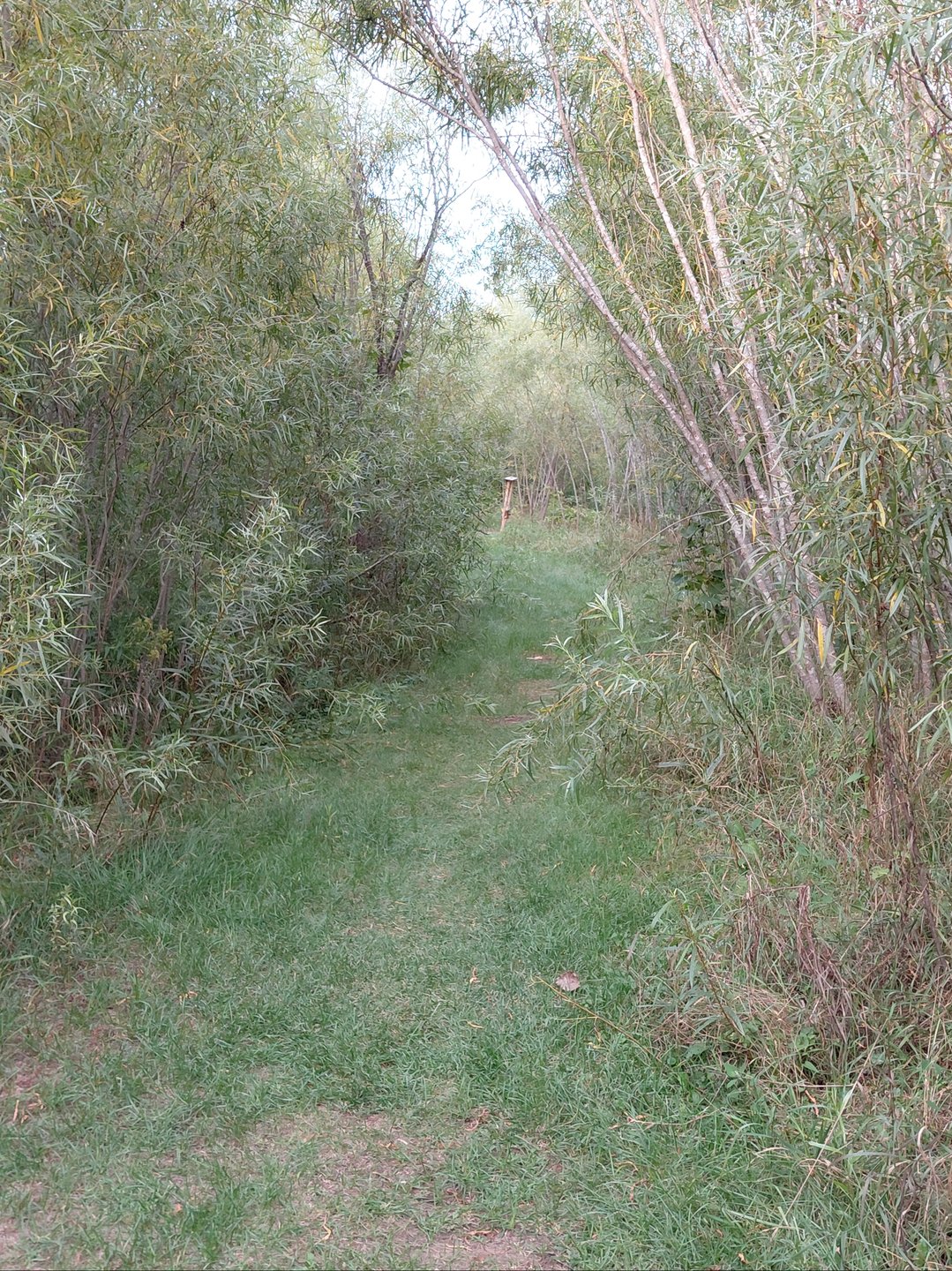 #5 - Vue vers le panier