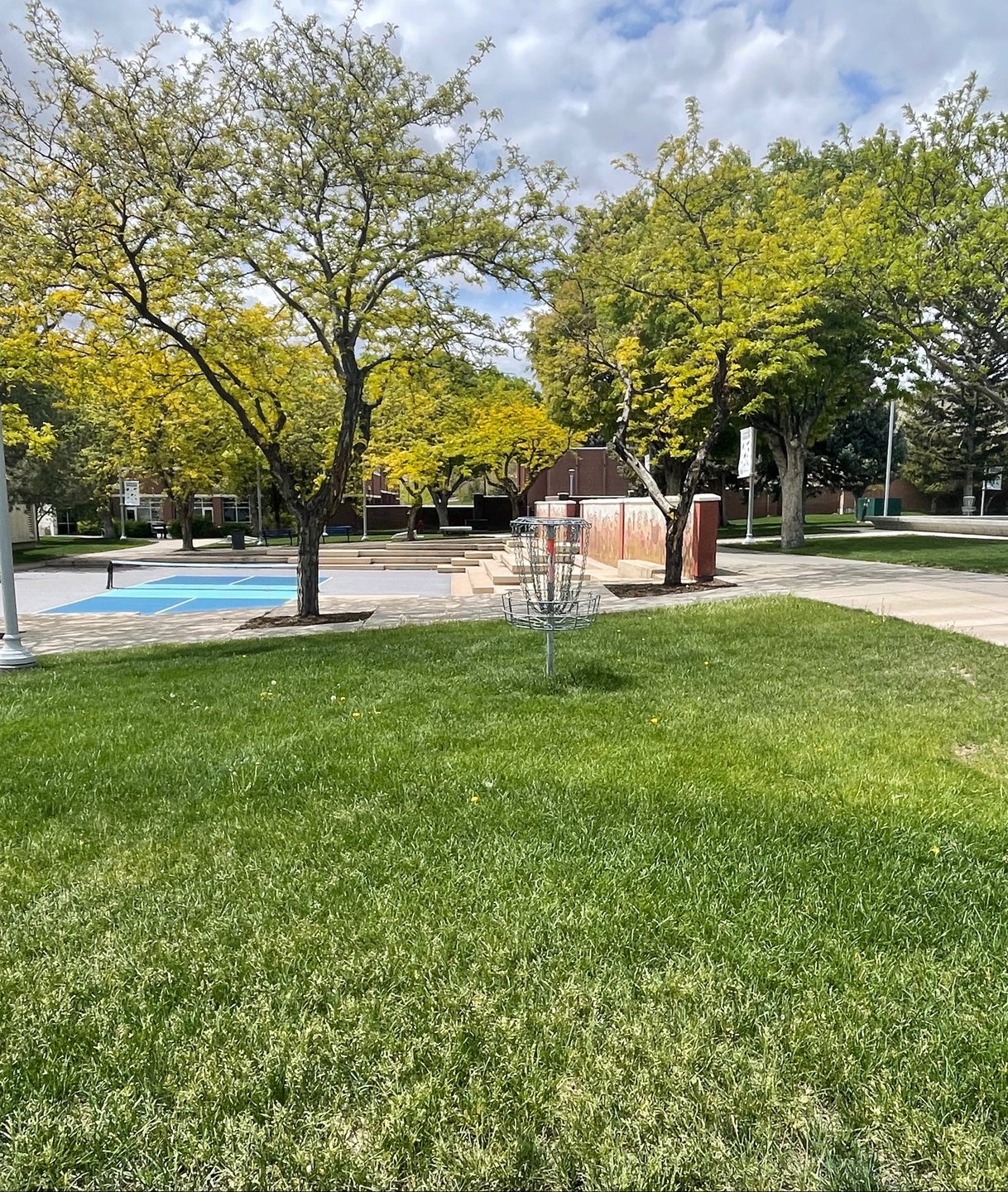 Hole 6 Basket