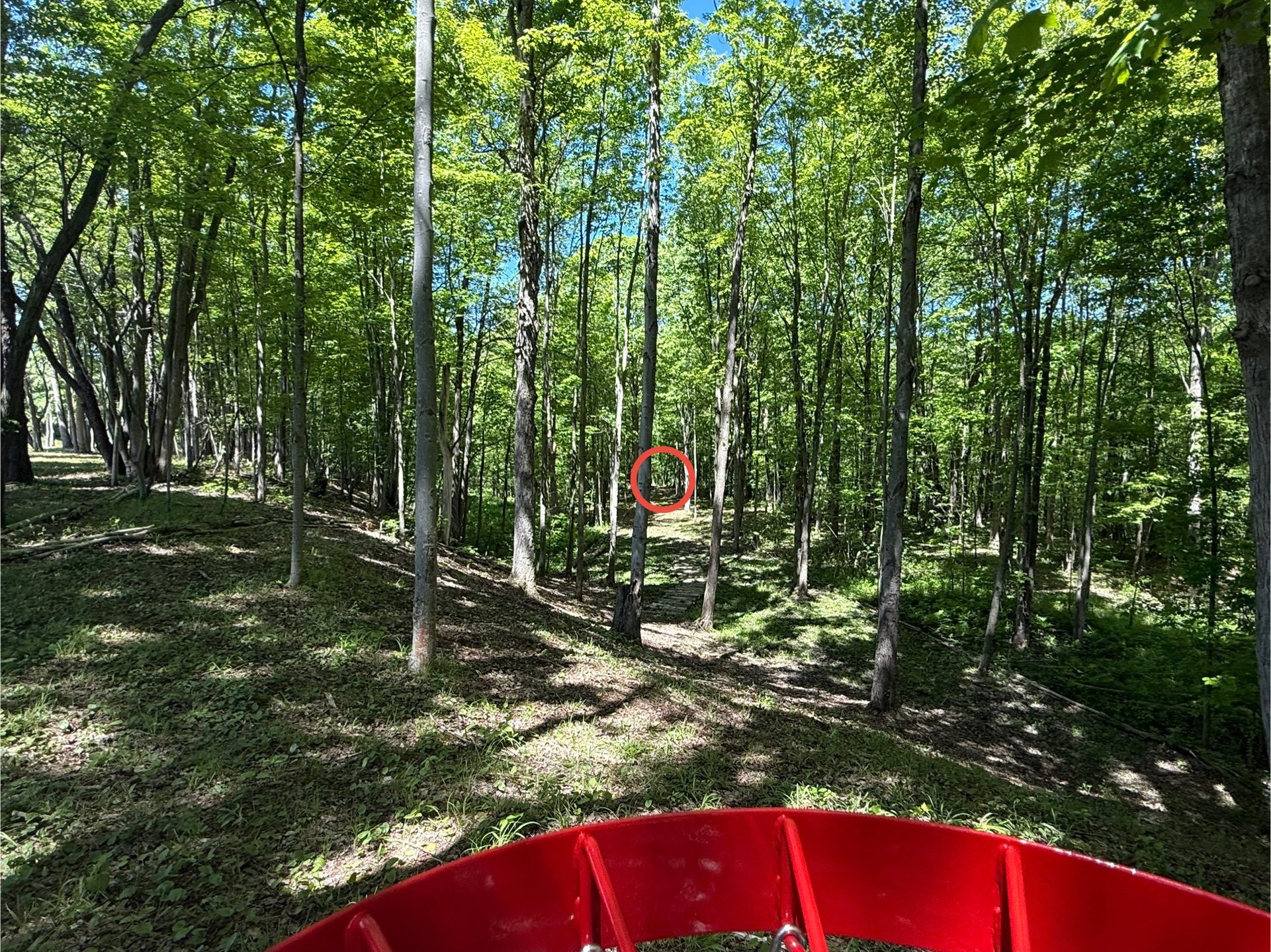 Hole 7 Basket to Tee