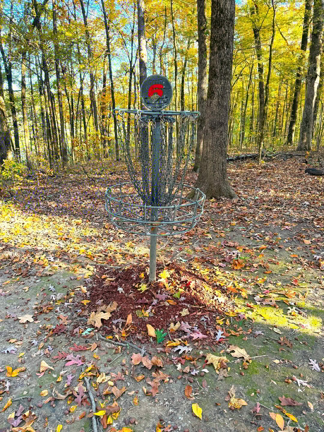 Hole 6 Basket