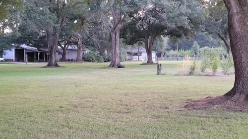 Hole 5