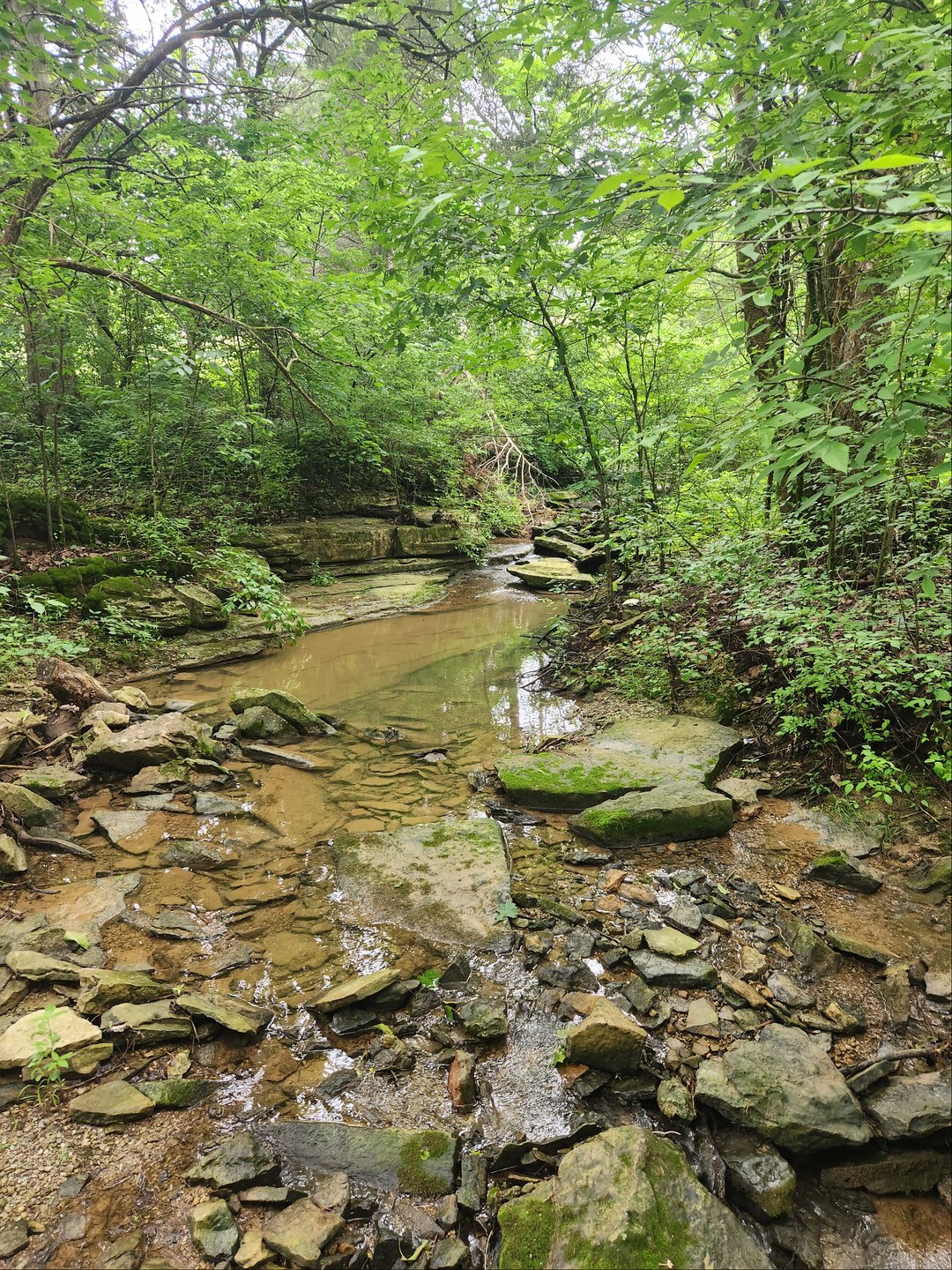 Creek 