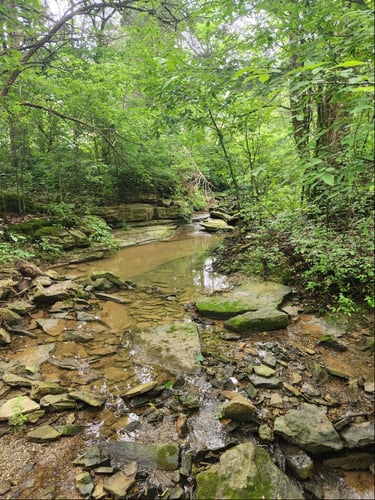 Creek 