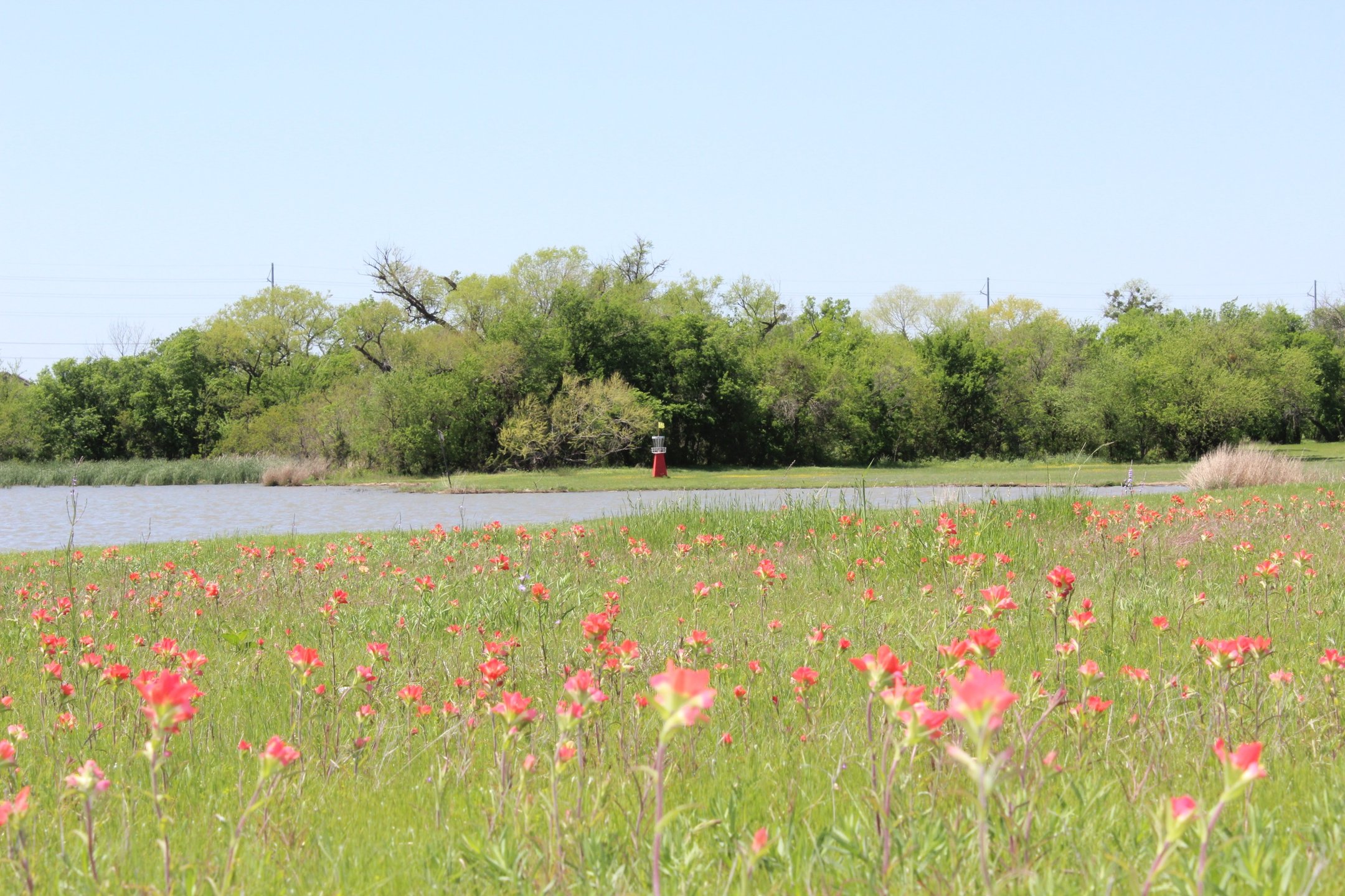 North Lakes Park- Lakeside
