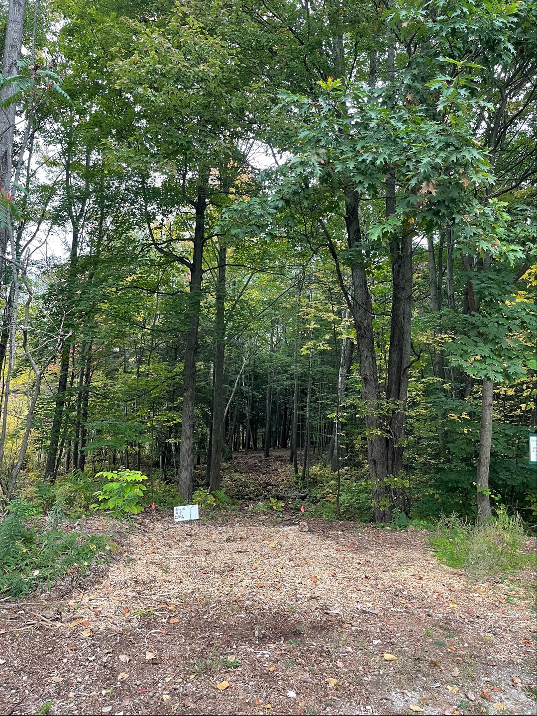 Hole 9A long tee