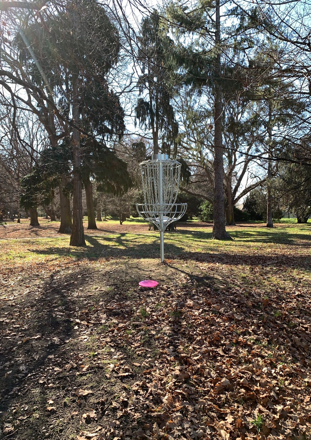 Hole 5 basket 