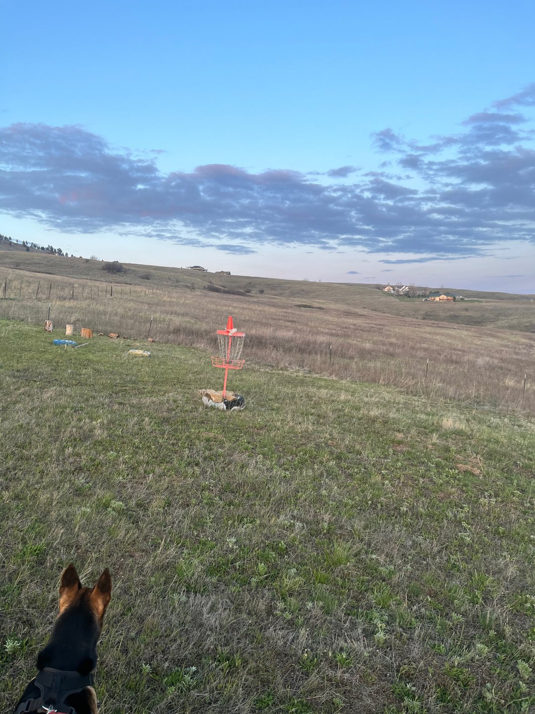 Basket hole 1 and 14.  

Also nearby Tee box for hole 2 and long par 5 hole 15.  