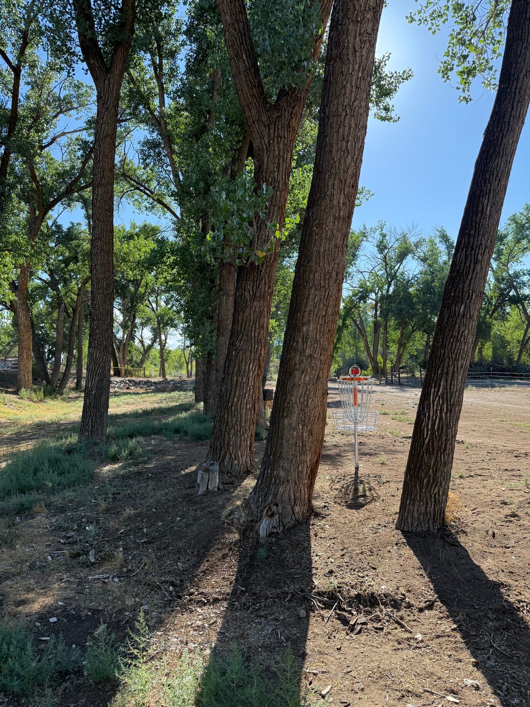 The long basket of hole 16.