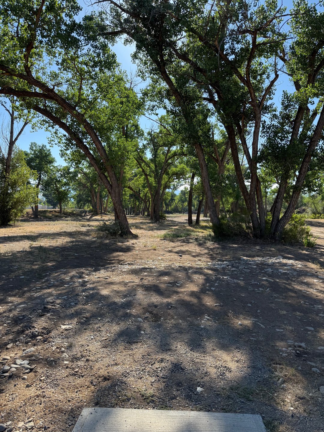 The view from the tee pad of hole 16. There are mandos all down the left side to protect the players on holes 14 & 15.