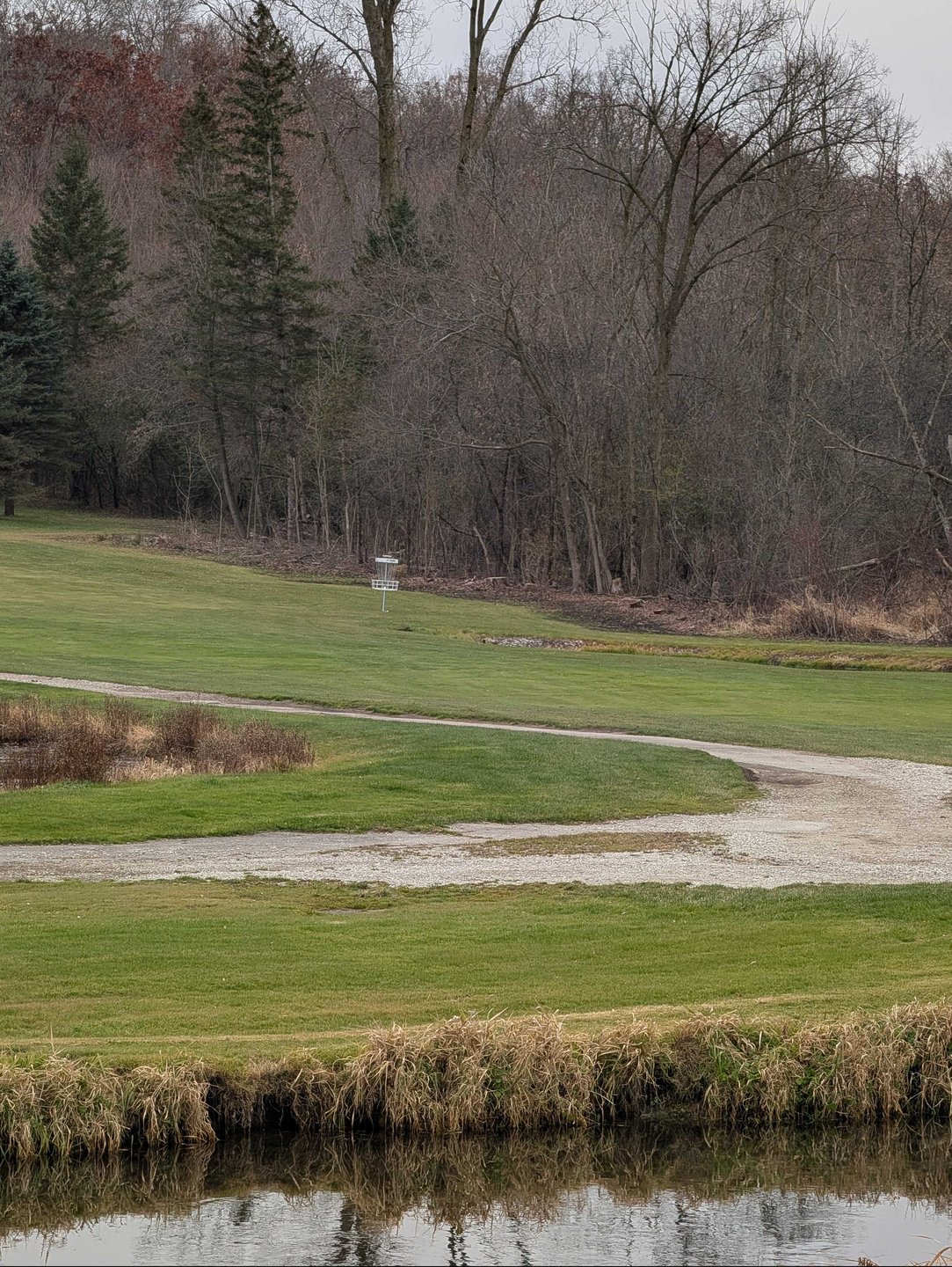 basket location zoomed in from long/short tee