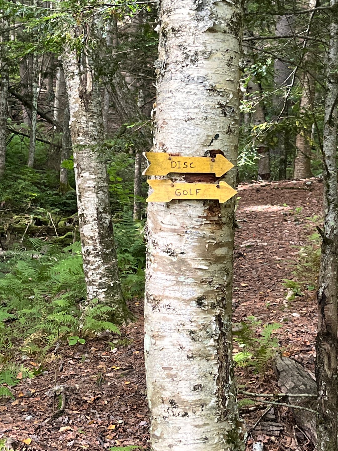 Directional sign to Hole 1 once you cross bridge.