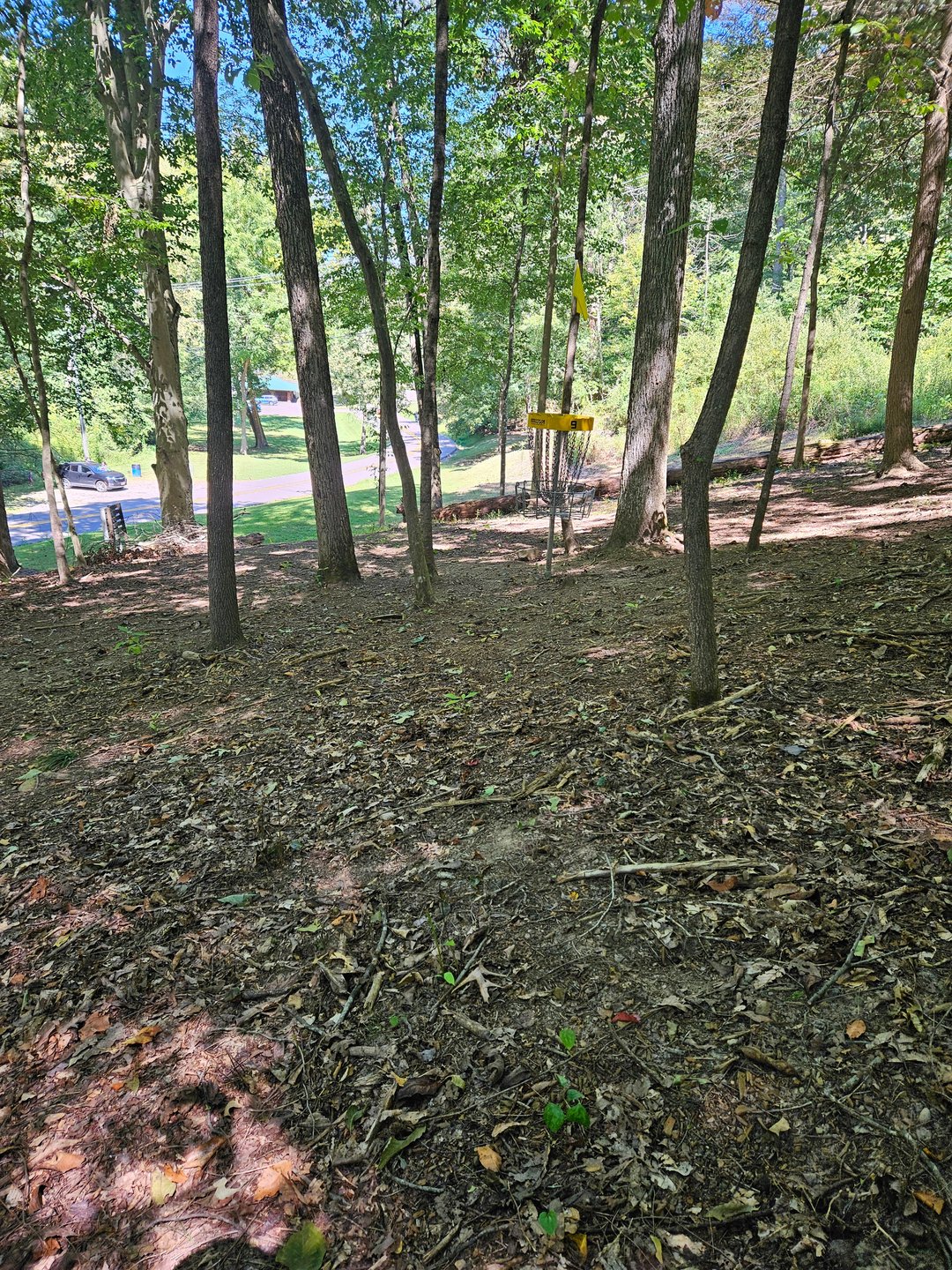 Behind Short Basket, Looking back up fairway.