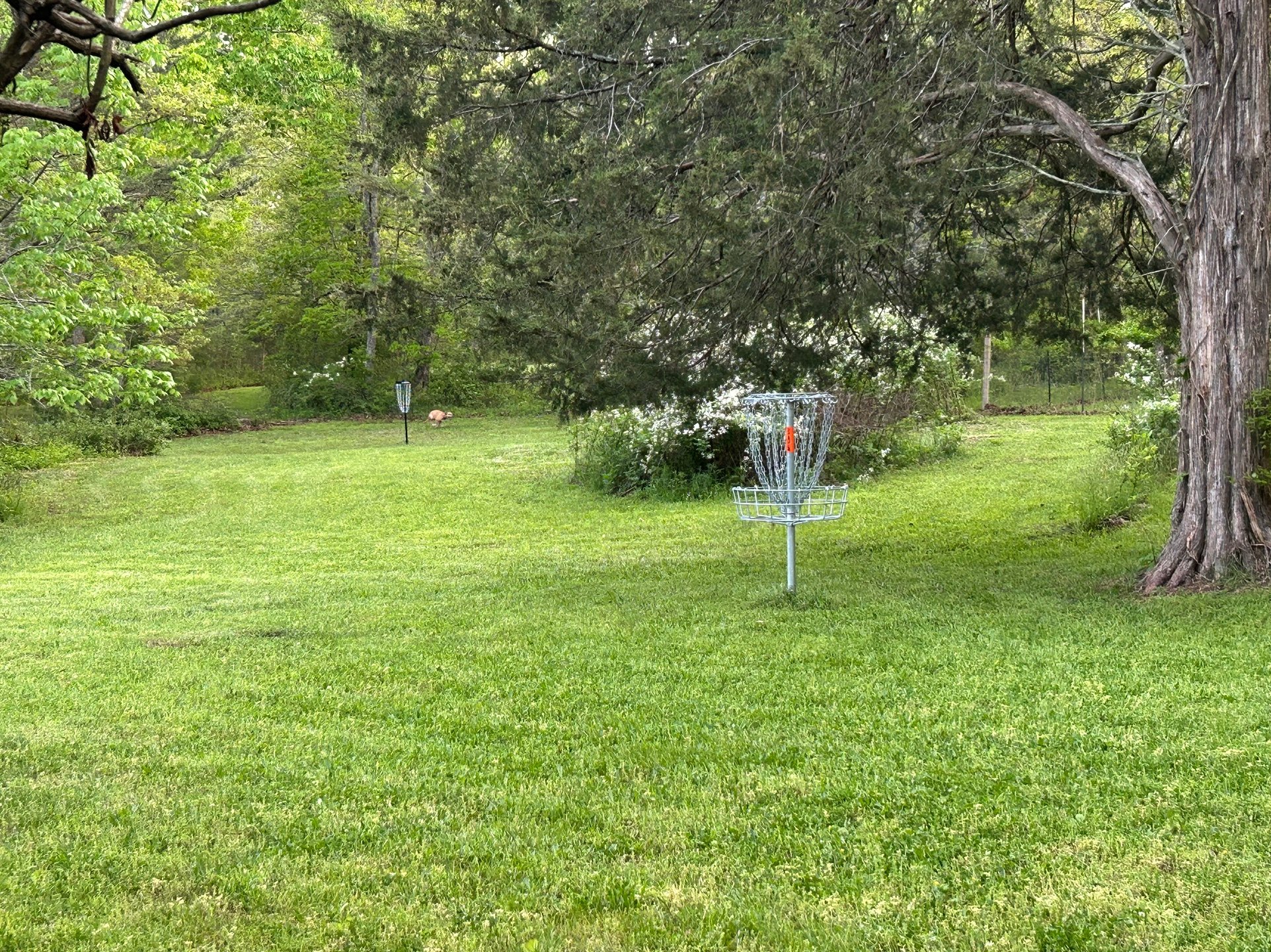 Hole 5 Spring 2025