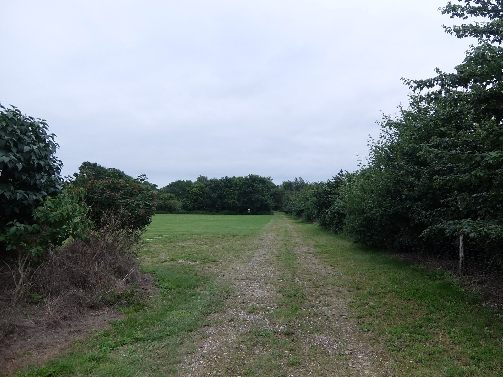 Tee 9 is behind basket 2, throw from between the hedges and be careful about the OB to the right, if you go over the fence you must climb the ladder and search, if very far over the fence you will land on a field where you must avoid stepping on the plants!