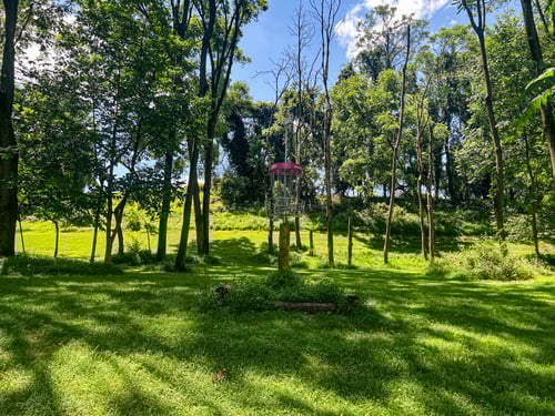 Hole 3's elevated pink basket. Par 3. 231 ft. 
