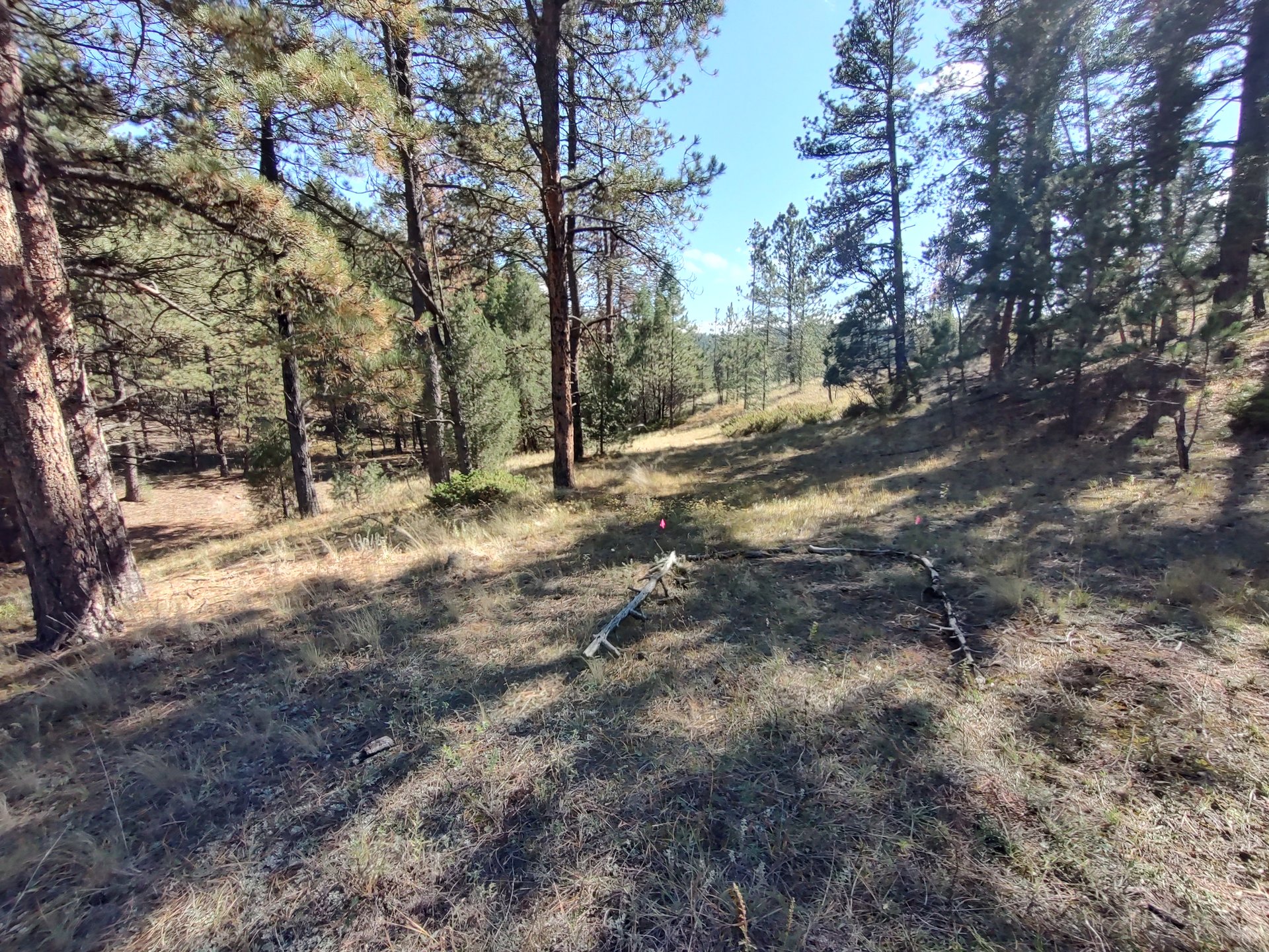 Hole 12B for TURKEY 21 Layout