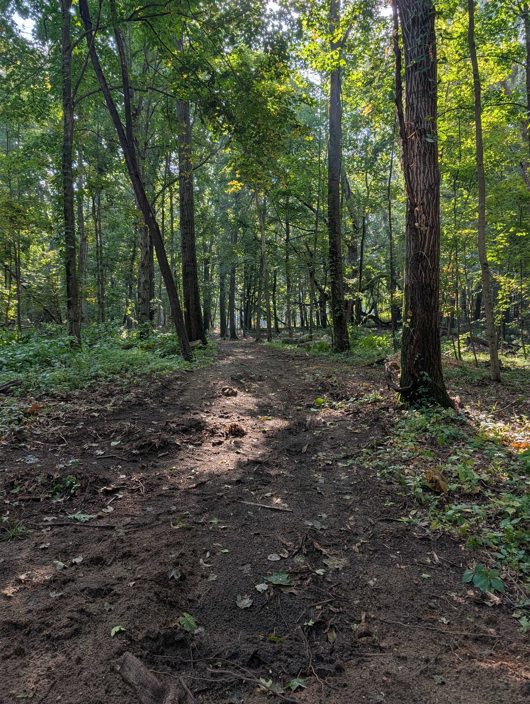 Hole 13 - Fairway from short tee - bends slightly to the left the entire time 