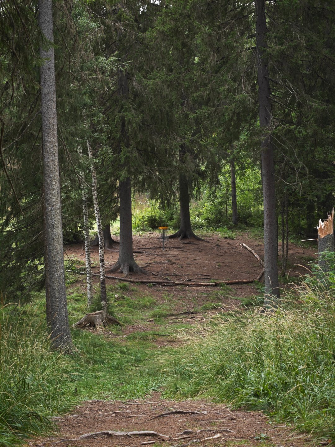 Väylä 1