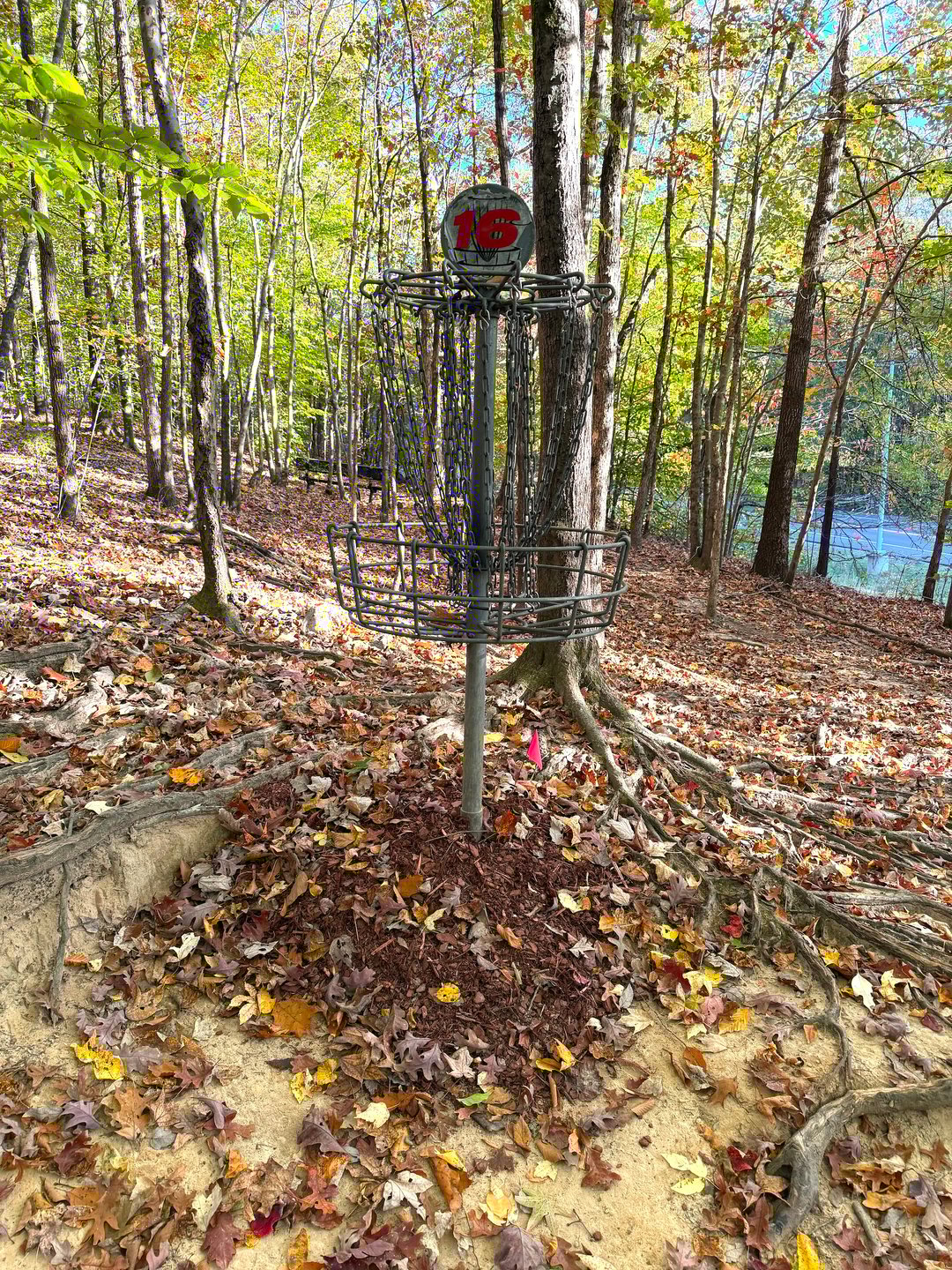 Hole 16 Basket