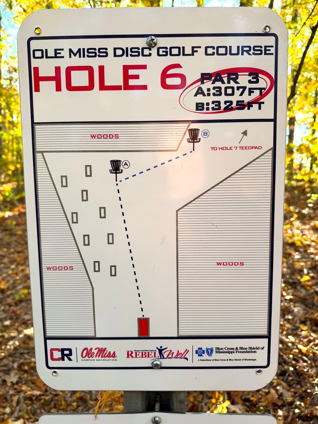 Hole 6 Sign