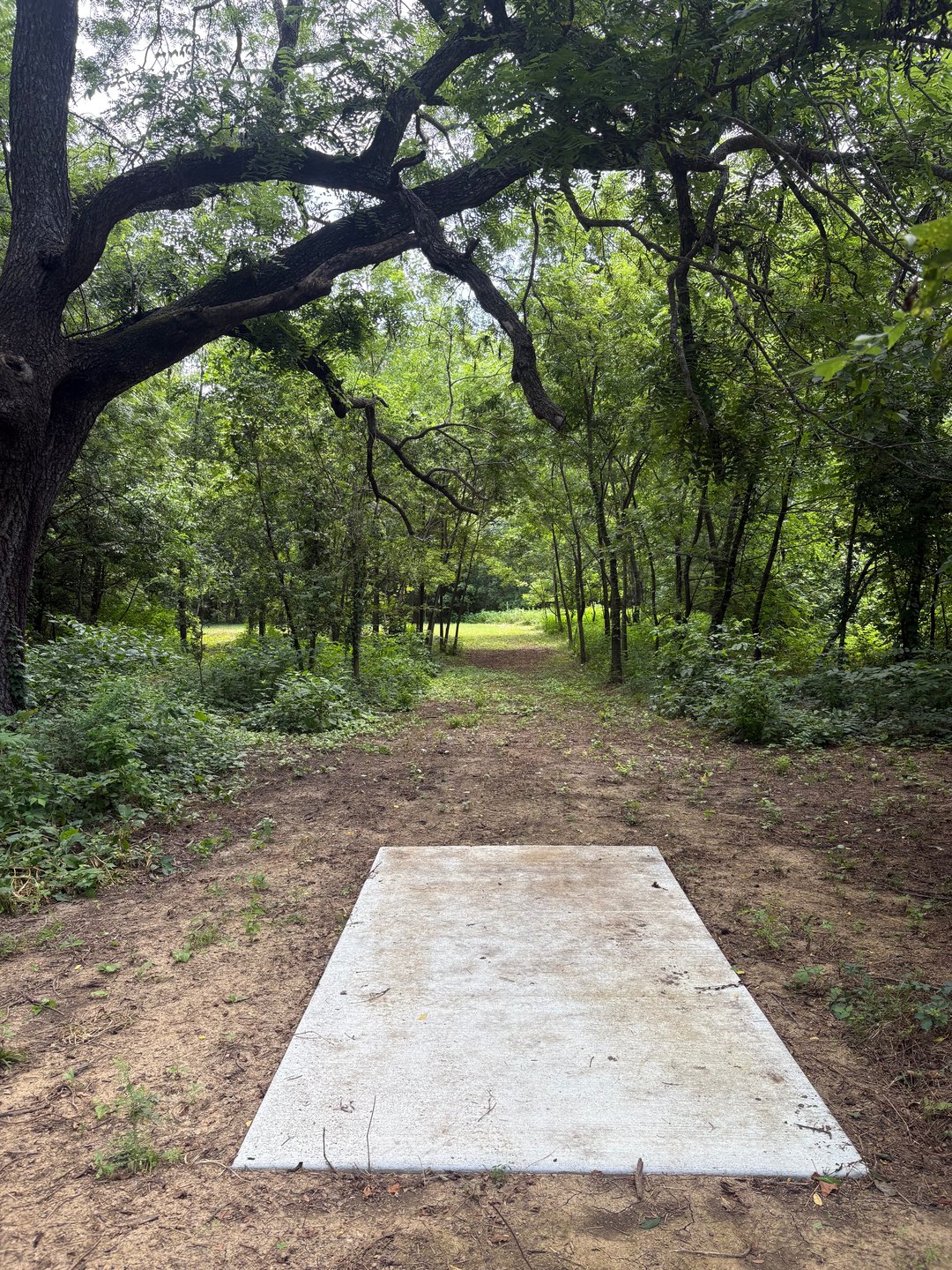 Off the tee on 14 with a hard dog leg left.   Now do I attempt to throw for a BIG skip or try to get there in the air?  Hmmm......