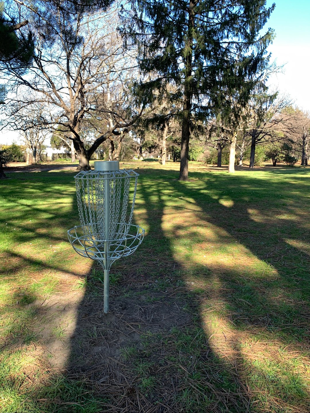 Hole 8 basket 
