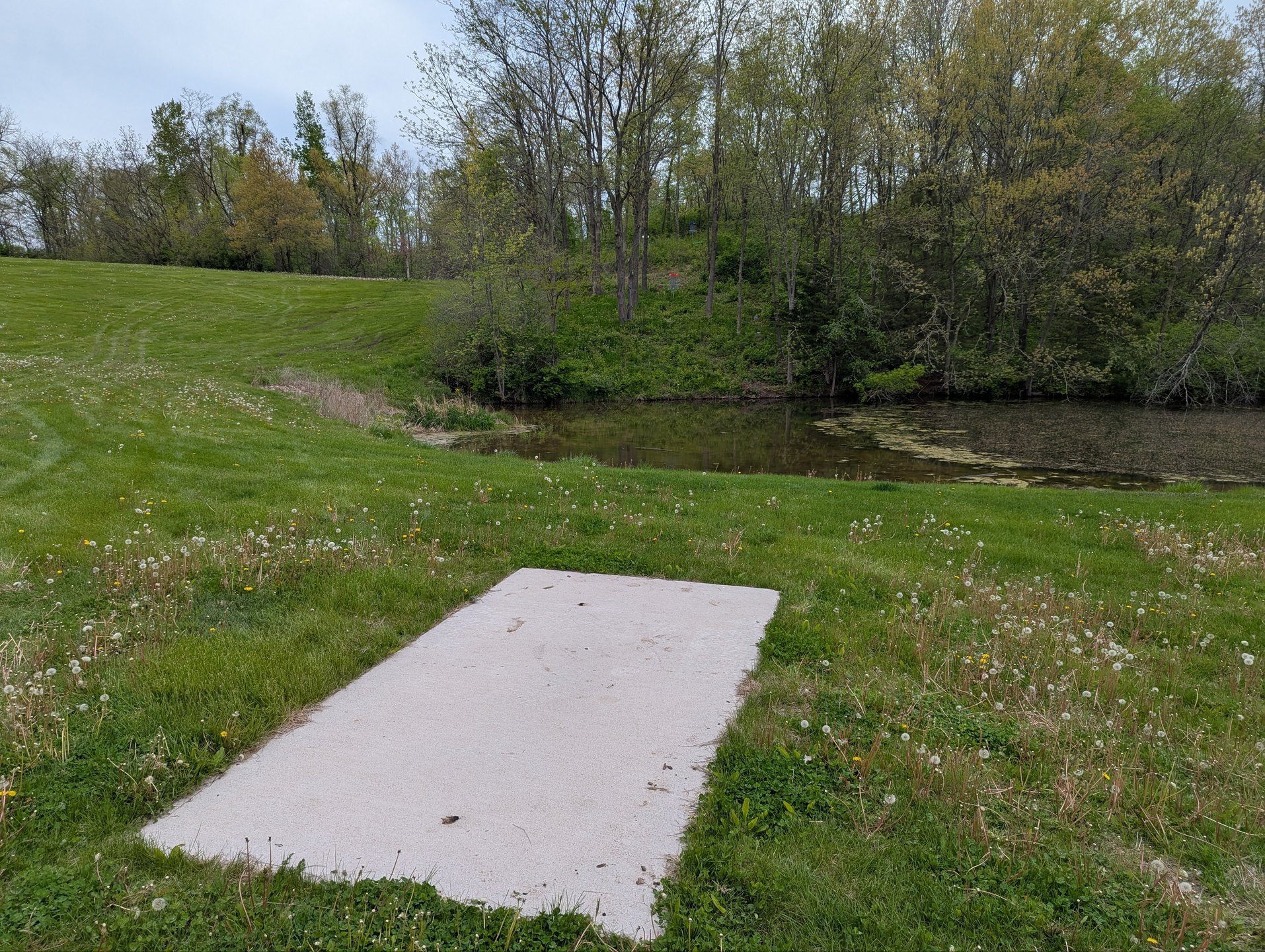 Hole 12 Short Tee