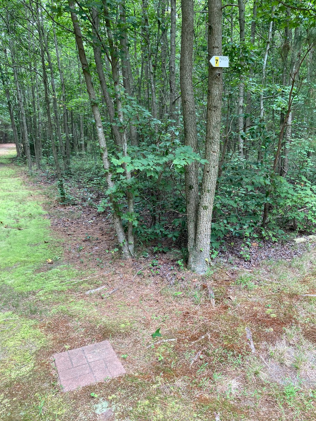 Hole 7 Mando and Drop Zone 