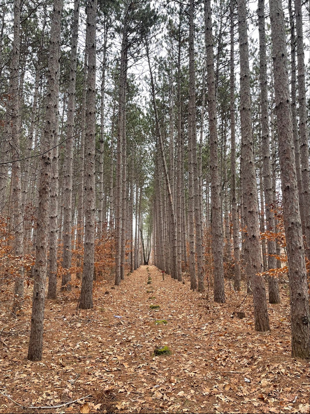 Hole 3 long tee