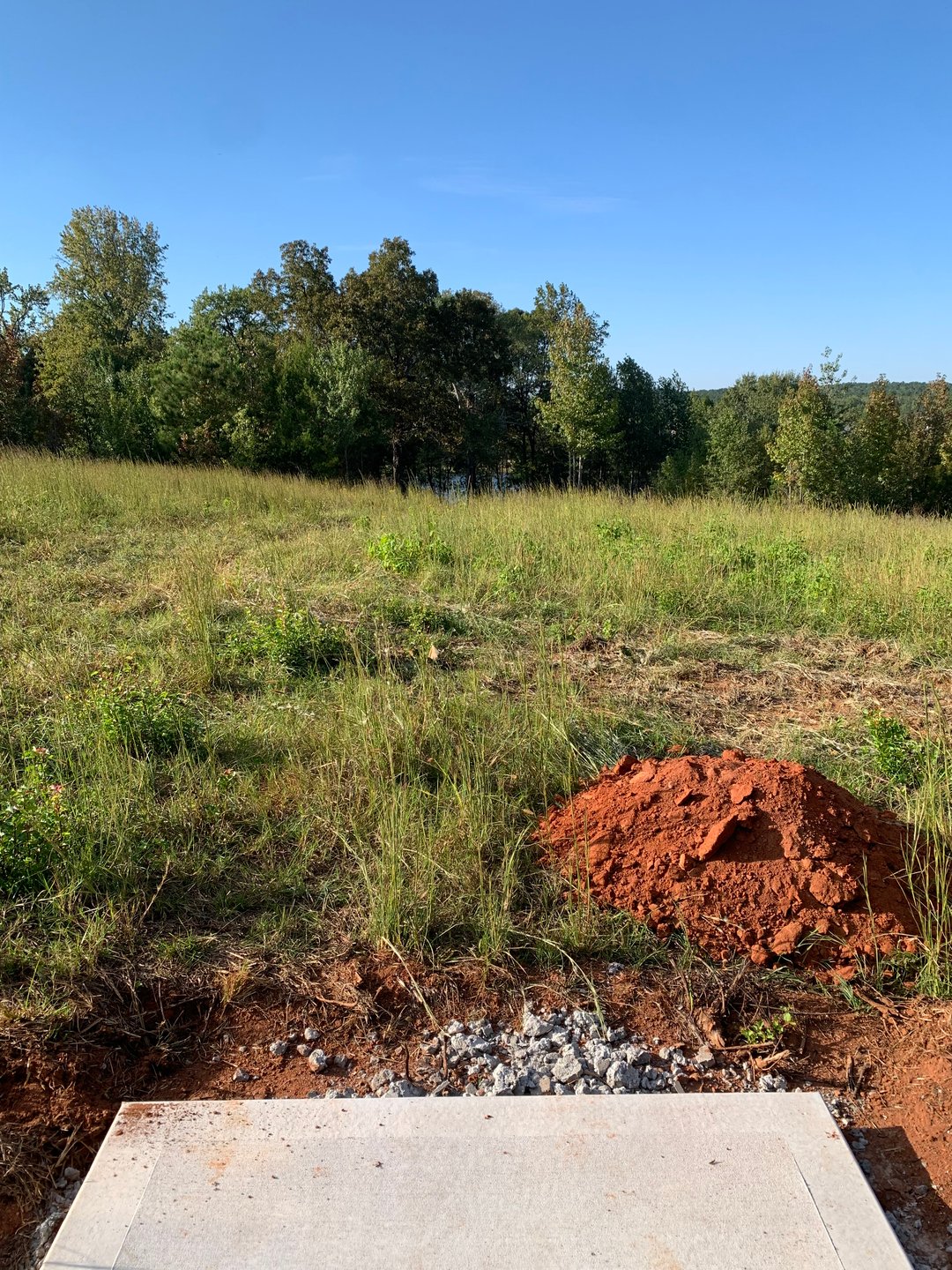 Hole 5 - Gold Tee (under construction)