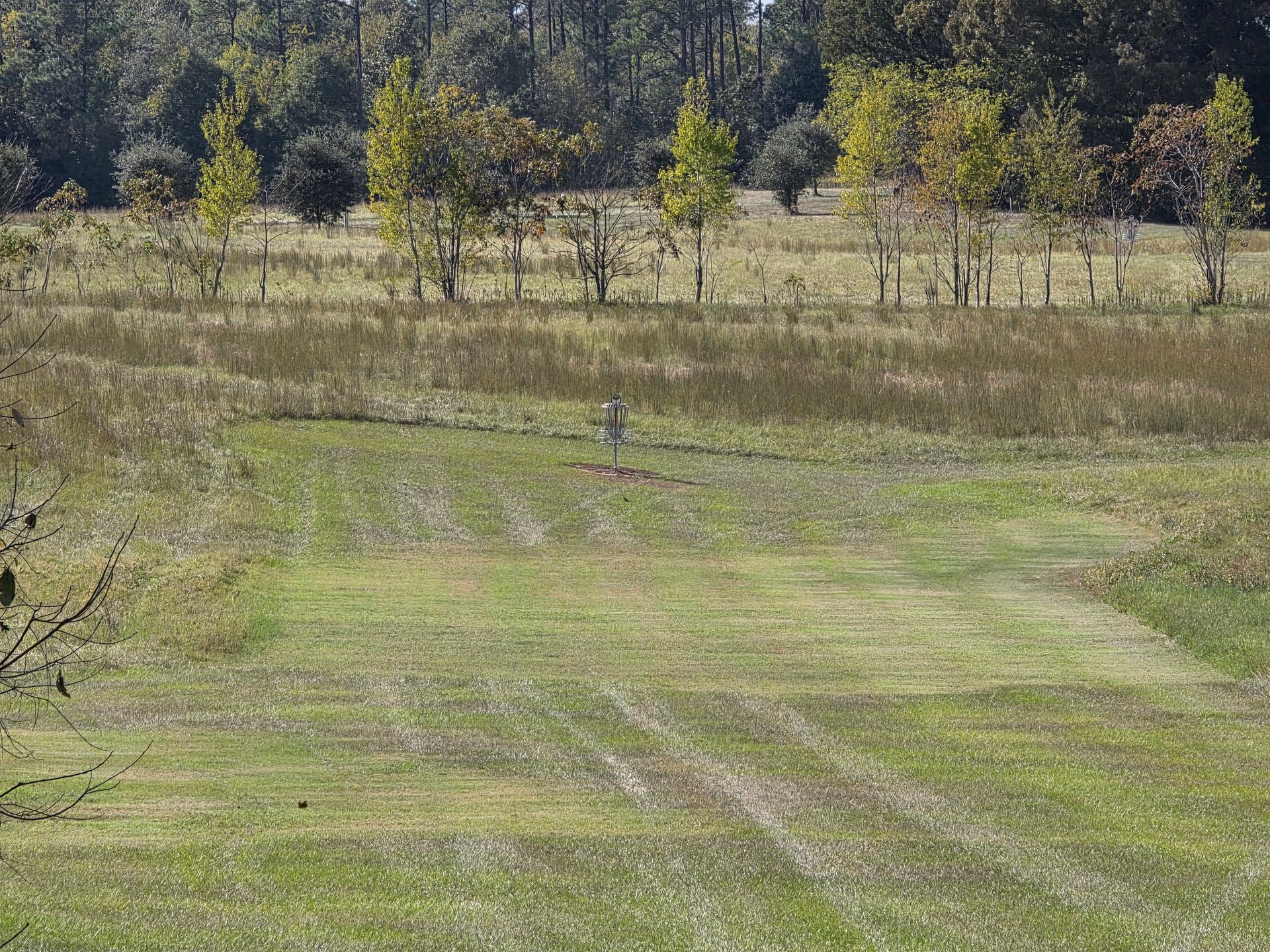 Looking across the landing zone at the sloped green.