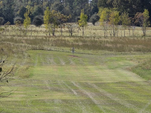 Looking across the landing zone at the sloped green.
