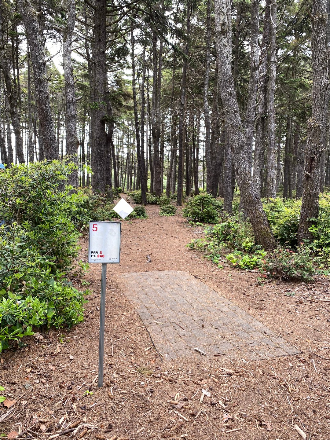 Tee pad for Hole 5 on the Main layout and Hole 6A on the Bandon 30 layout