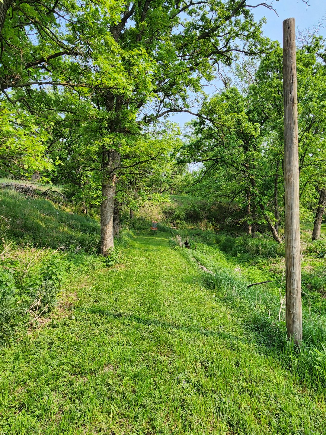 Hole 7 DZ and green.