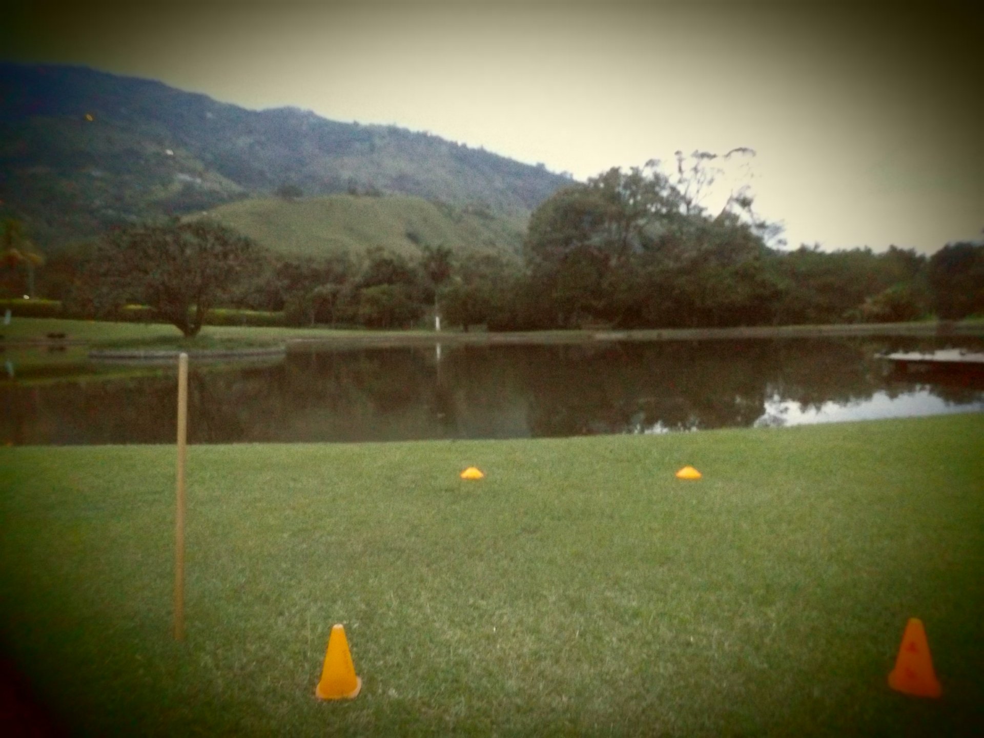 Tee 13 invertida la imagen