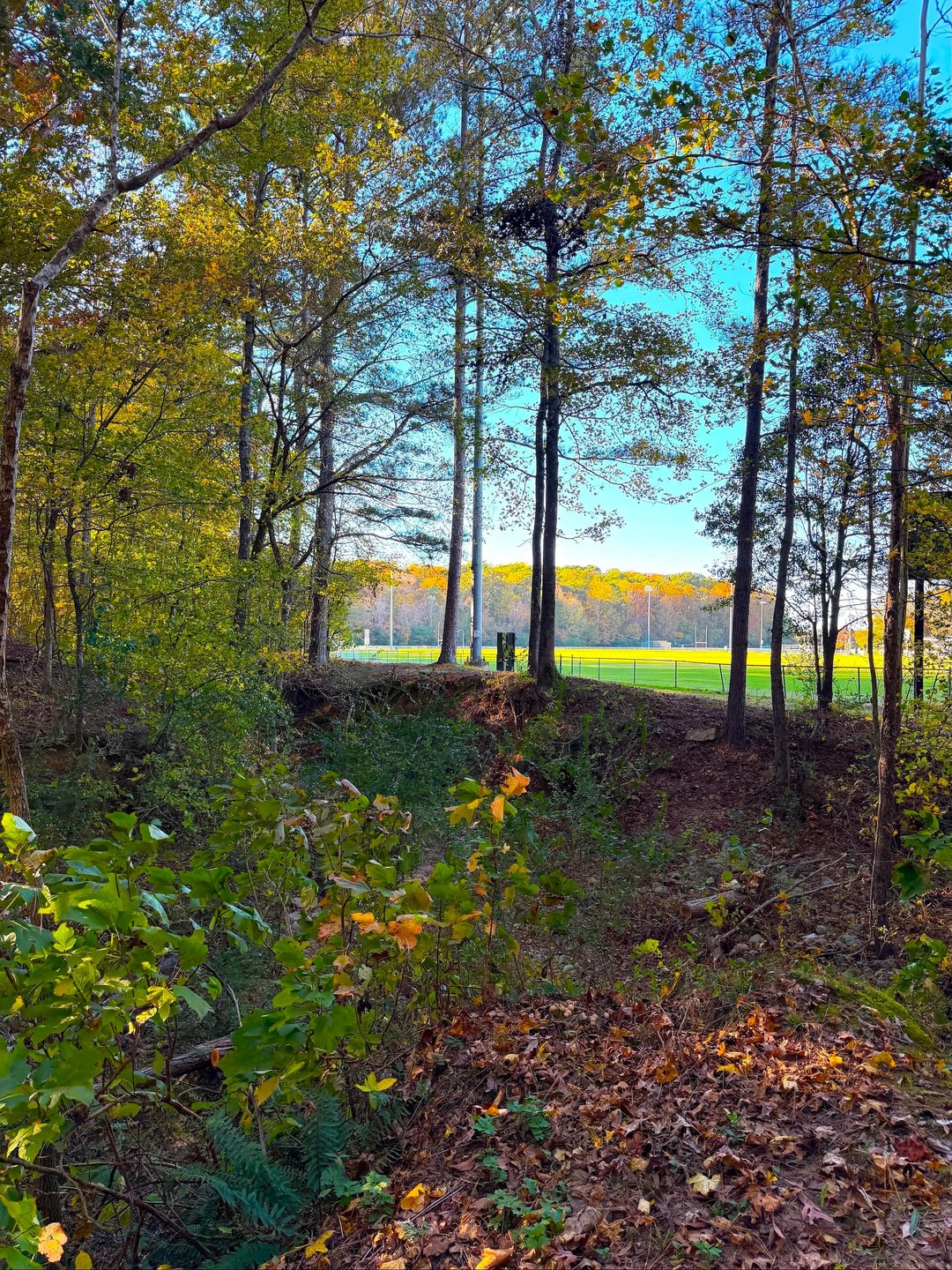 Hole 1 Across the Creek