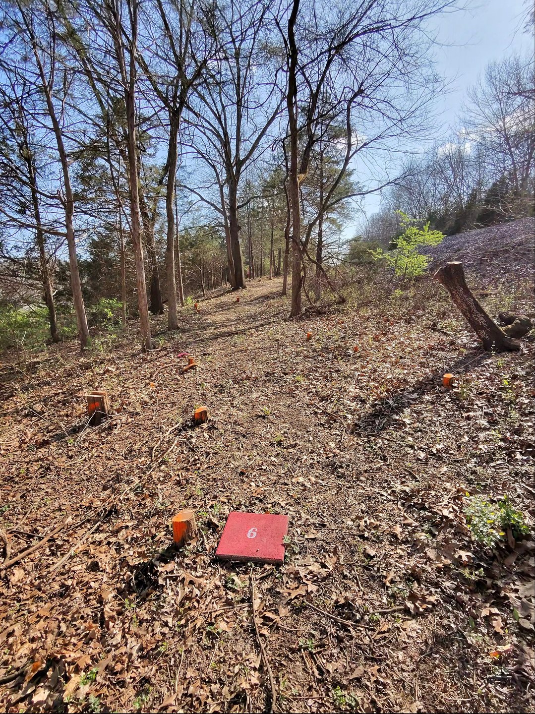 Hole 6 Red