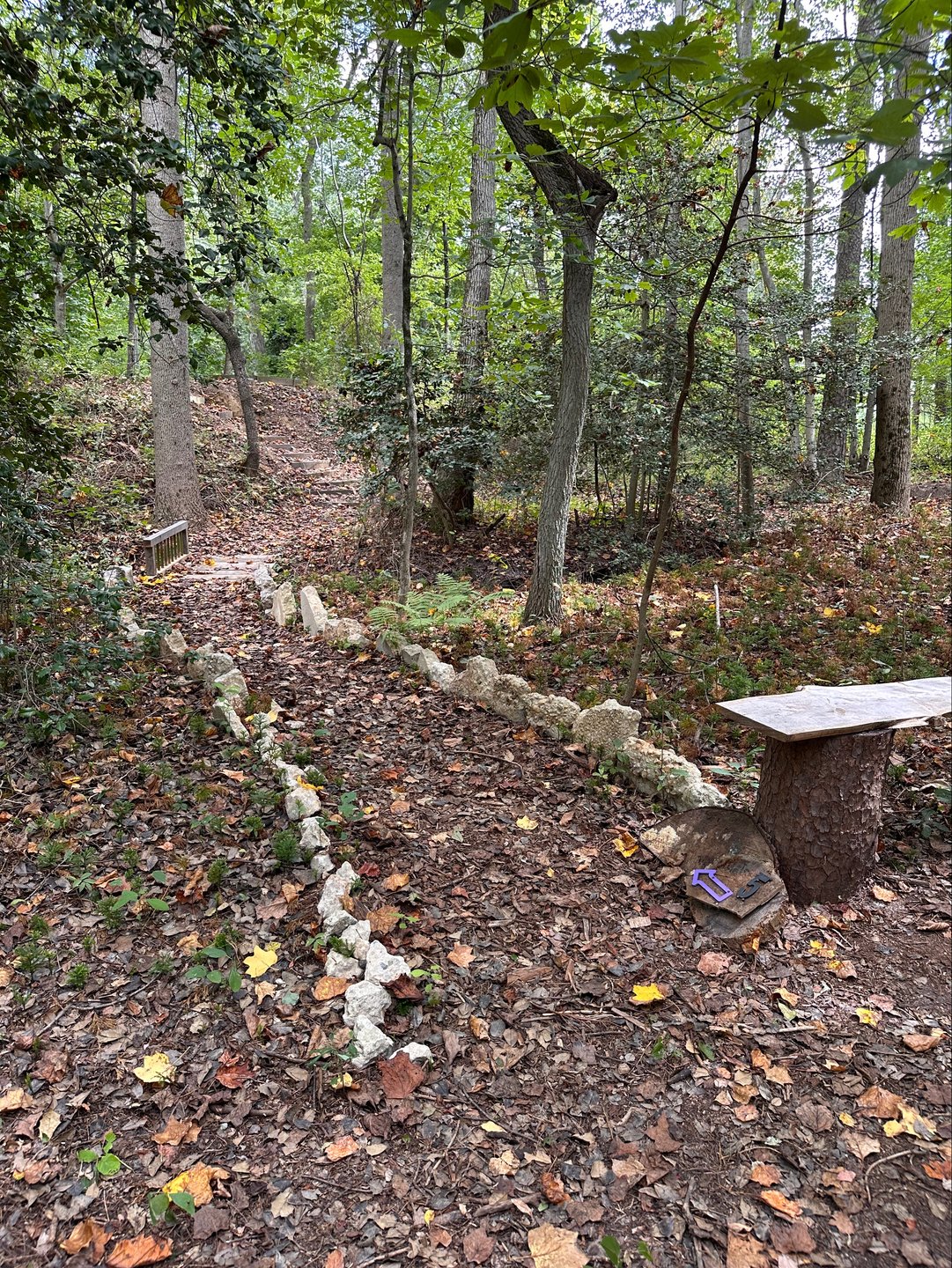 Pathway to hole 5, located behind hole 4’s basket 
