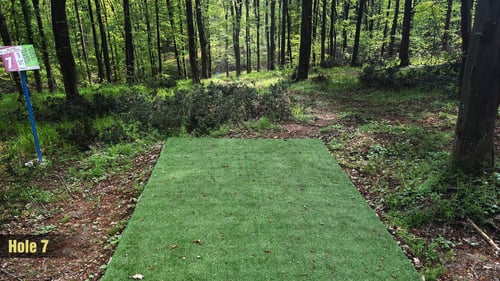Tee 7