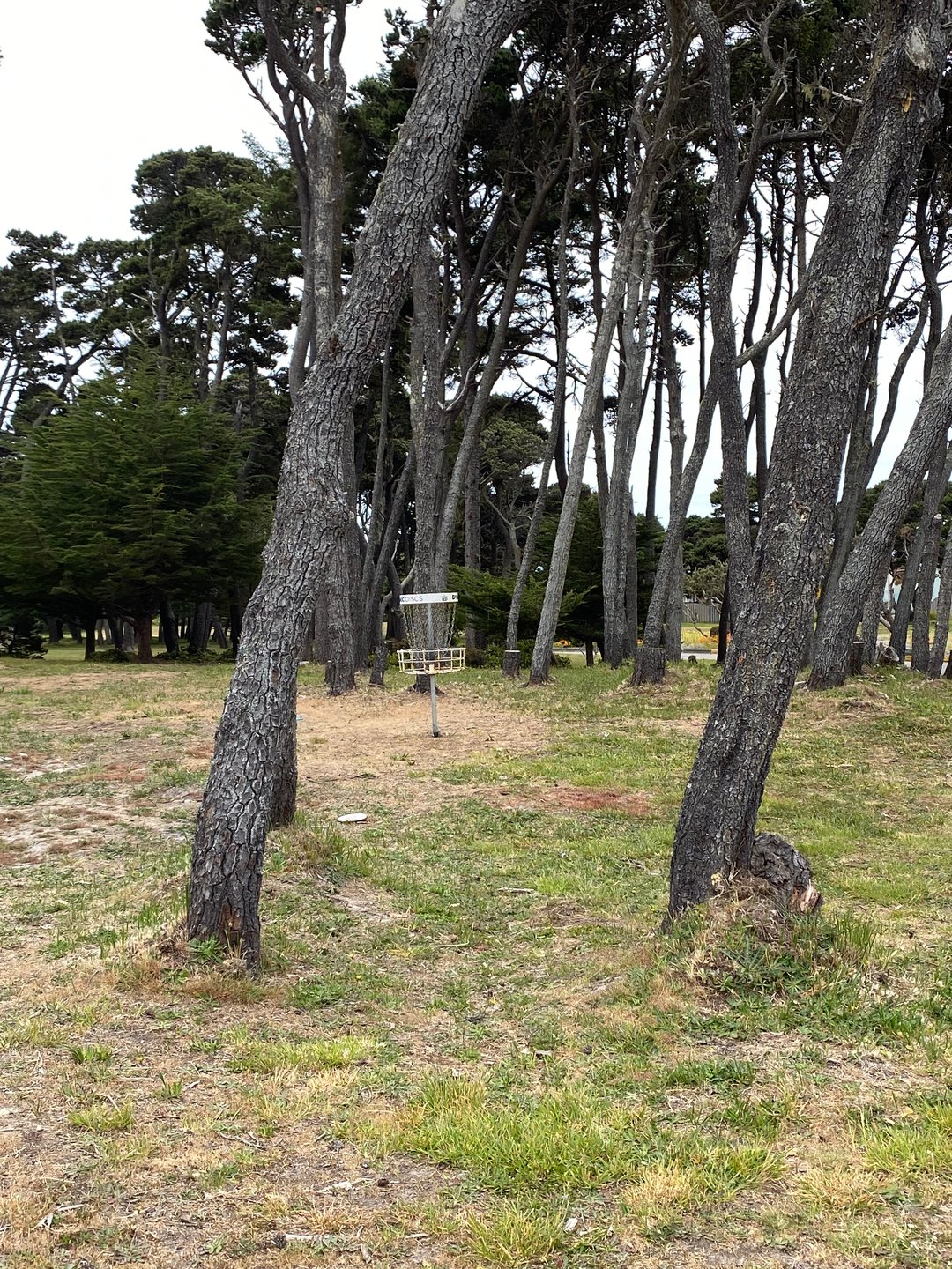 Basket for both Hole 1A and Hole 15A on the Bandon 30 layout.