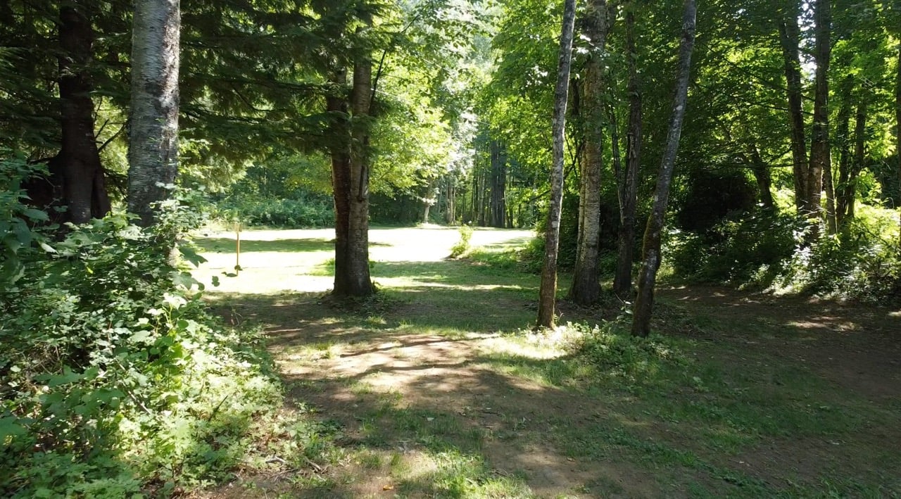 Hole 7 Fairway before short T