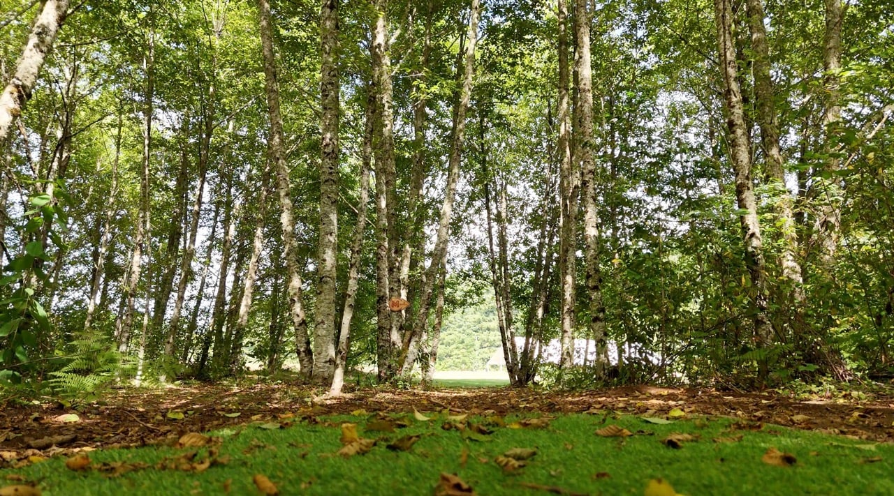 Hole 16 Long Pin Tunnel T