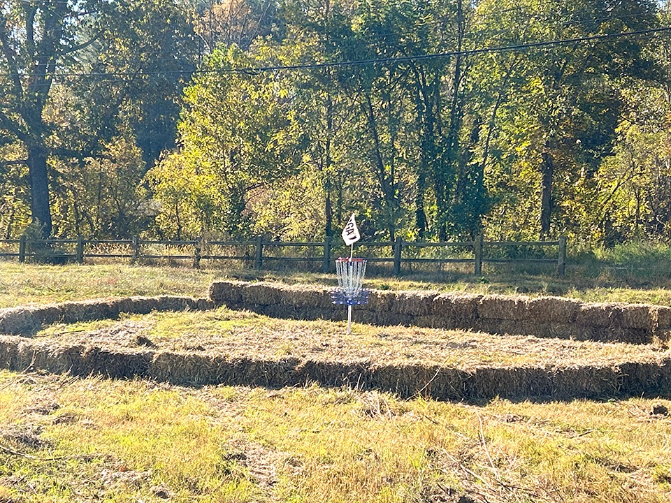 Hole 11