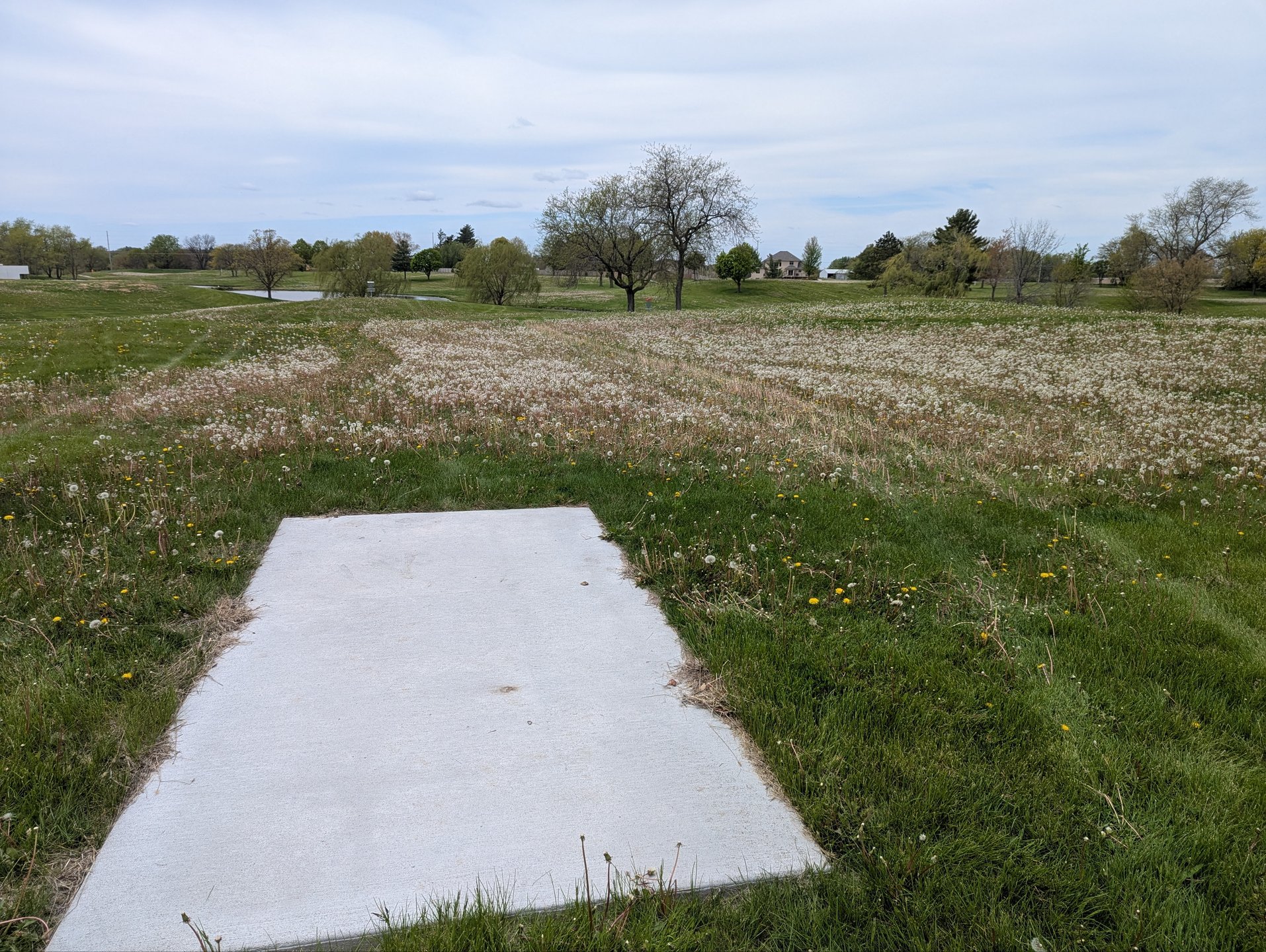 Hole 17 Short Tee
