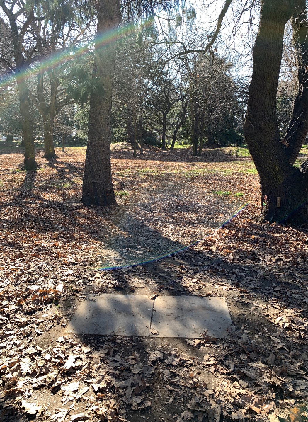 Hole 7 tee pad
