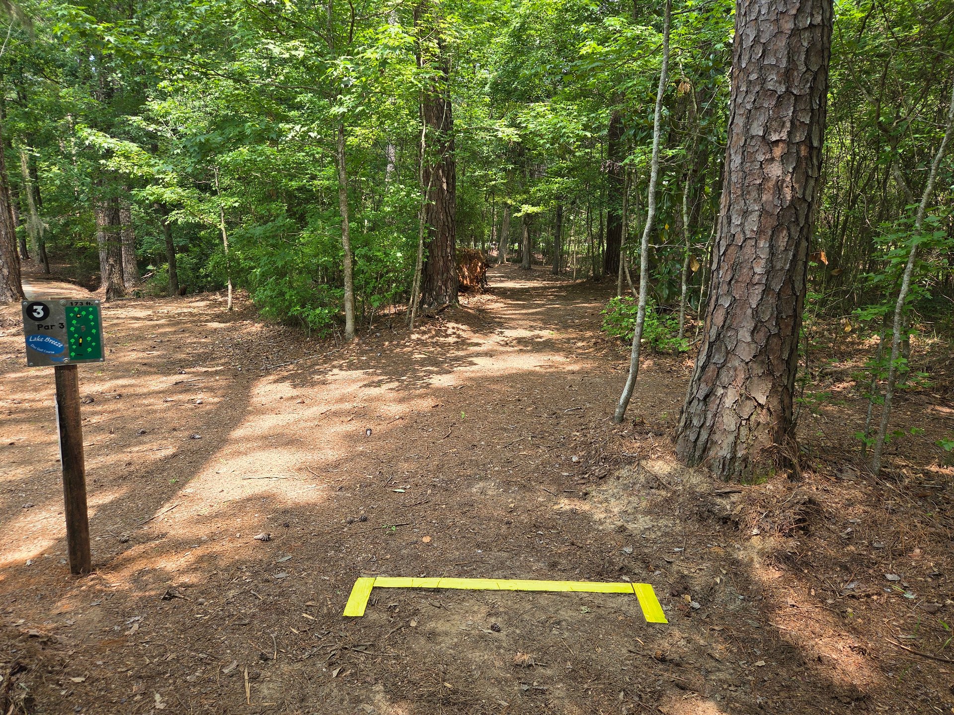 Tee box and through the woods towards basket 3.