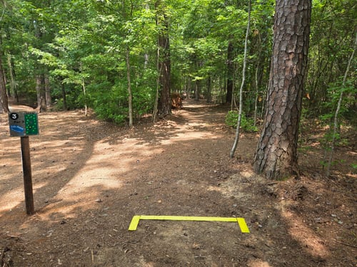 Tee box and through the woods towards basket 3.