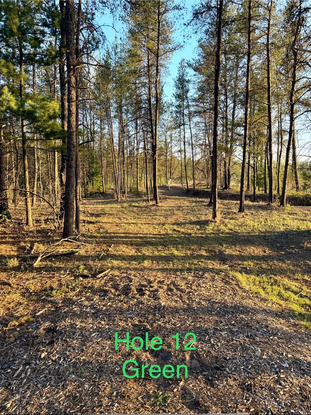 Green - Short Teepad