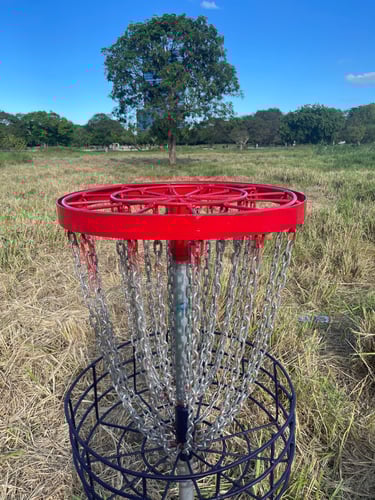 Hole 6 Basket